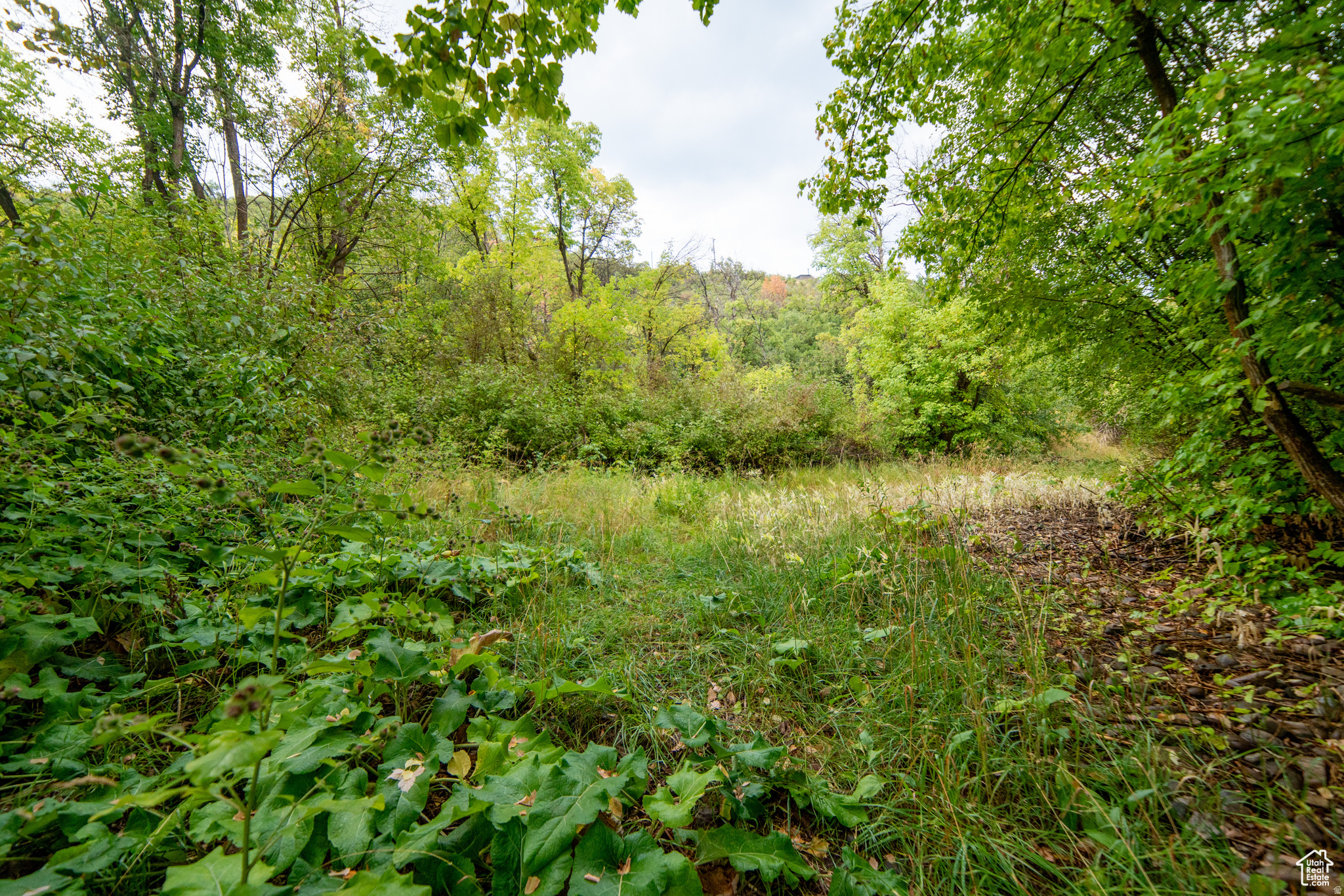 SWISS MOUNTAIN ESTATES - Land