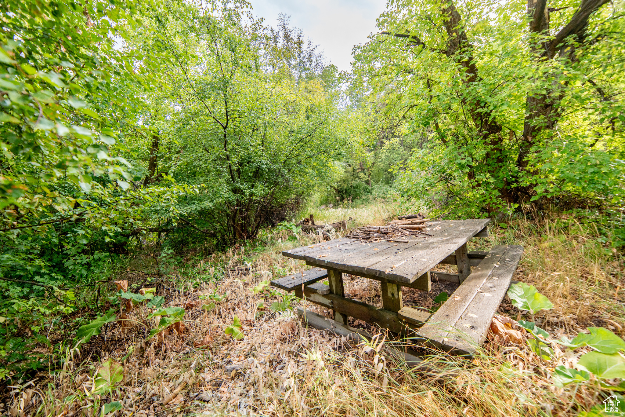 SWISS MOUNTAIN ESTATES - Land