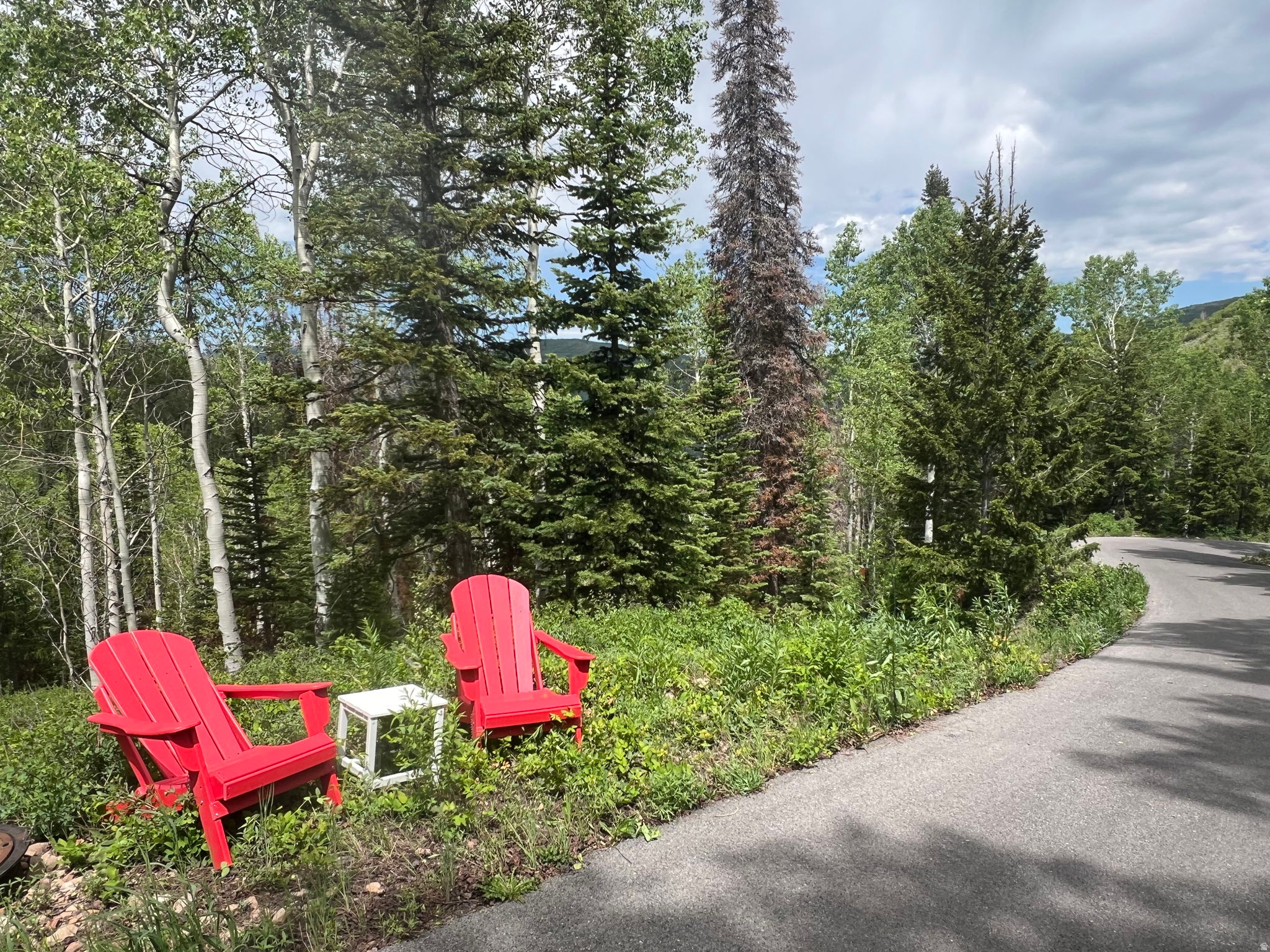 Nestled in the heart of the coveted Pine Mountain subdivision in Oakley, UT, this stunning 1.62-acre wooded lot offers the ideal setting to build your dream mountain retreat. Surrounded by mature trees and natural beauty, the property provides privacy, peaceful seclusion, and sweeping mountain views. One of the larger parcels in the community, it's perfectly suited for a spacious cabin or custom home. This lot is adjacent to HOA common space. Enjoy direct access to nearby hiking trails, snowmobiling routes, and year-round recreation, all while being just a short drive from Park City. Building options are endless with the opportunity for an uphill or downhill style home on this lot. Topo survey and perc test completed, saving you time and money in the building process.  The property has multiple possible building areas, including space at the top of the lot with far-reaching views and a gradually sloped private area in the trees. Reach out to us today for a private tour!