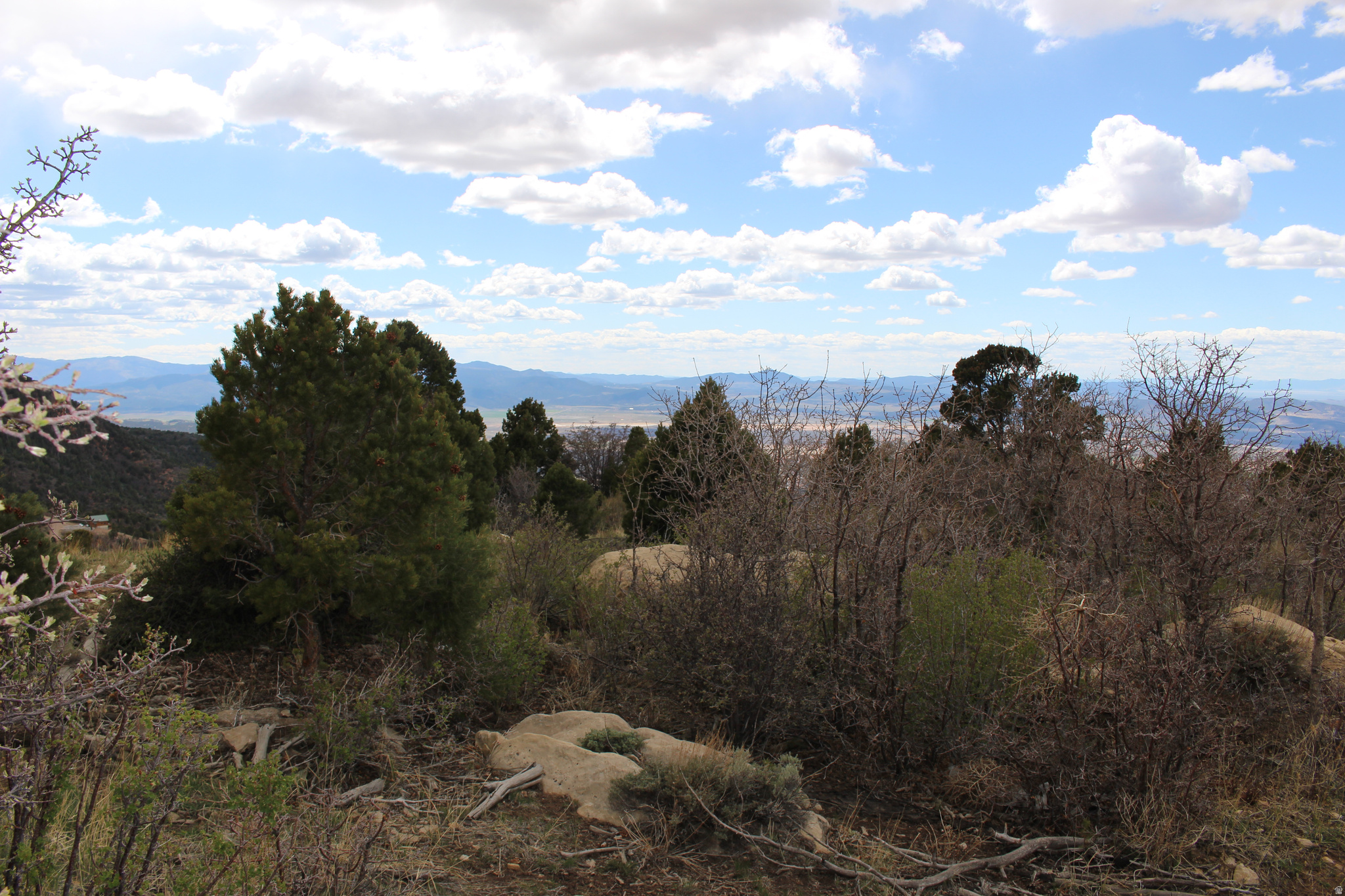 CEDAR HIGHLANDS - Land