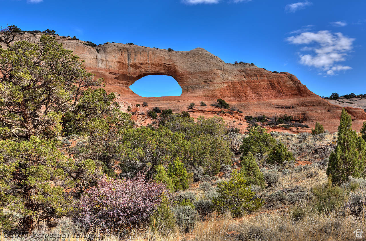 WILSON ARCH RESORT - Commercial Sale