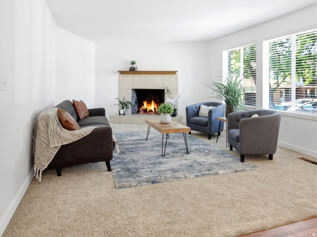 WEDGEWOOD ESTATES - Residential