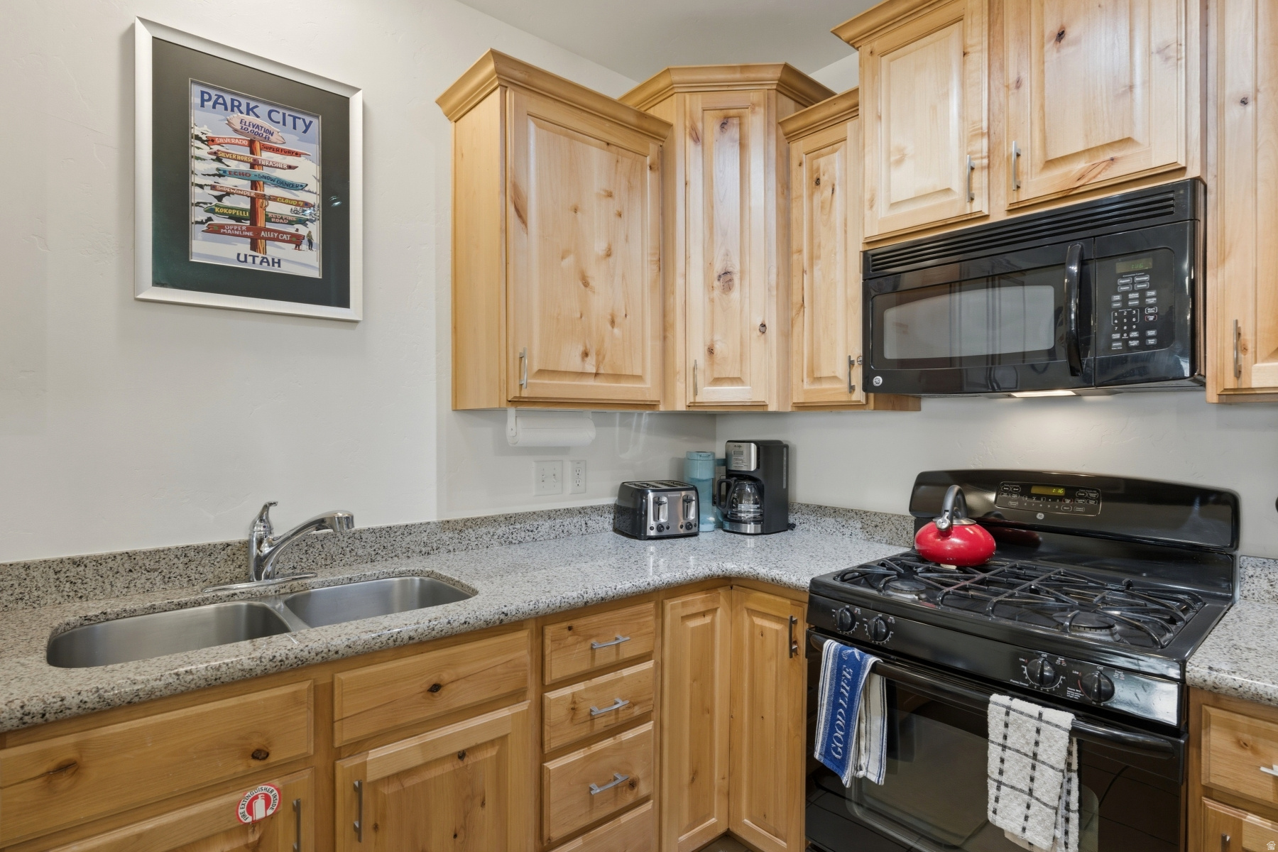 LODGES AT BEAR HOLLOW VILLAGE - Residential