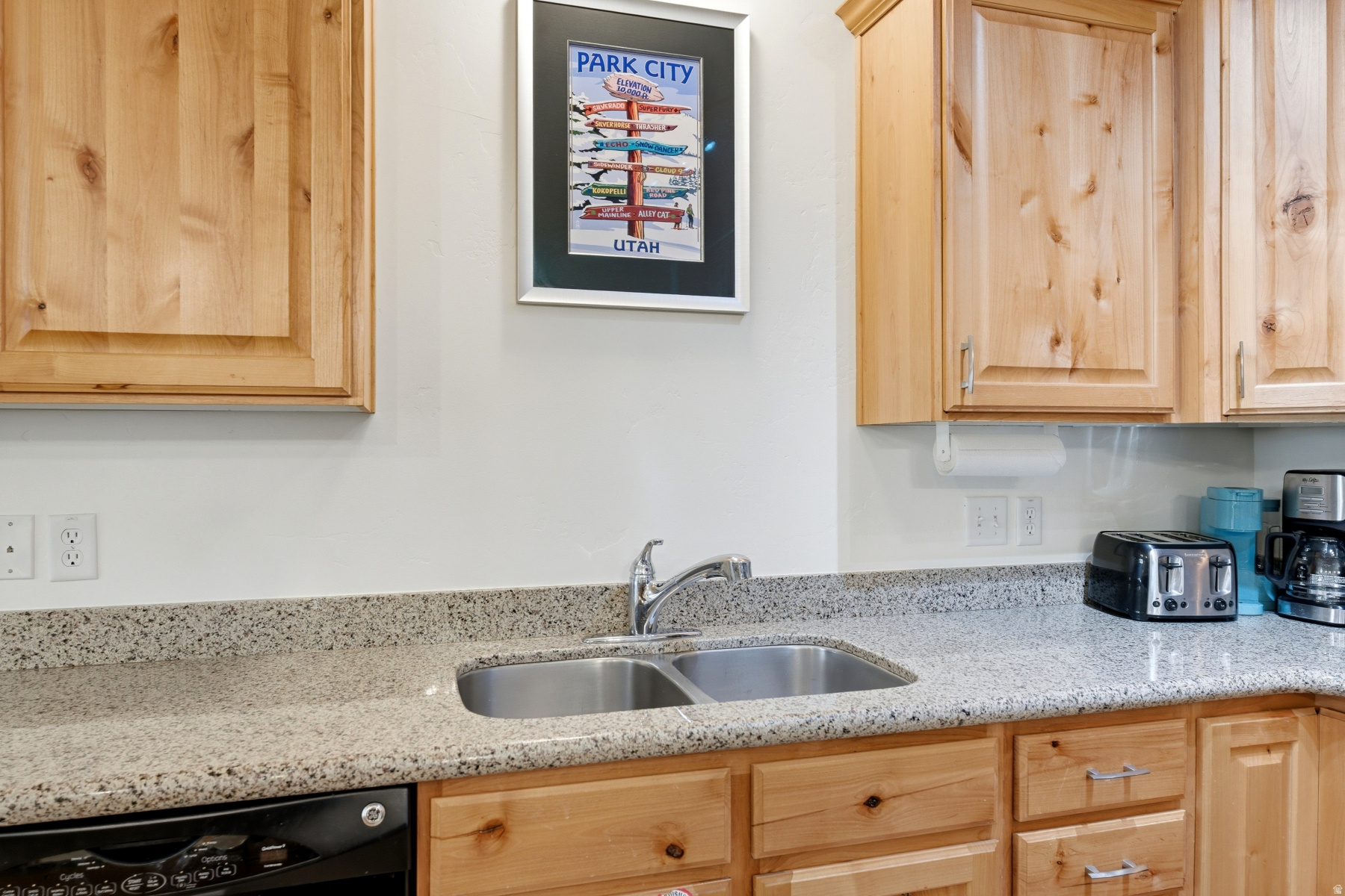 LODGES AT BEAR HOLLOW VILLAGE - Residential