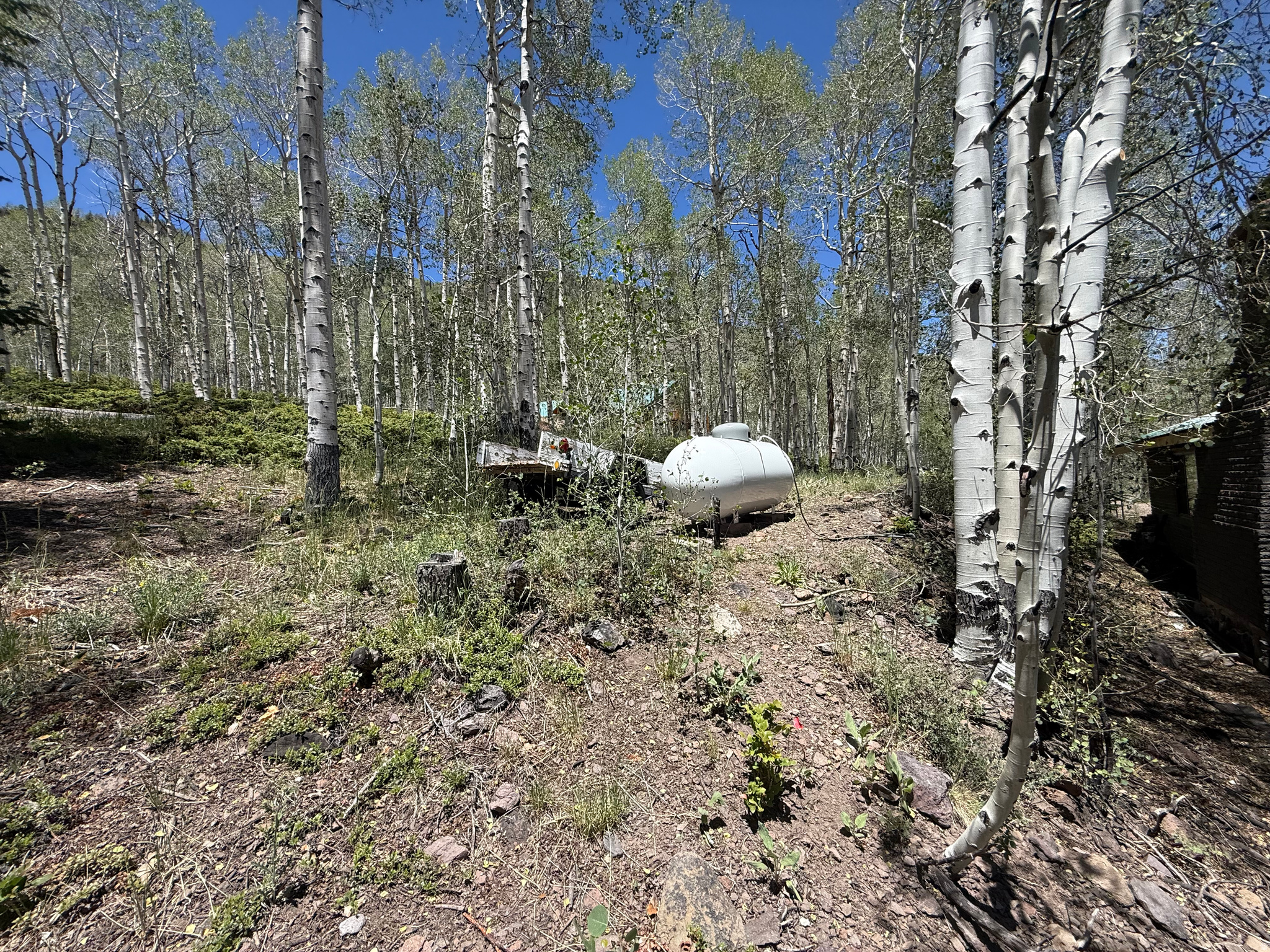 ALL OF LOT 69 ASPEN HEART SUMMER HOME SURVEY FISH - Residential