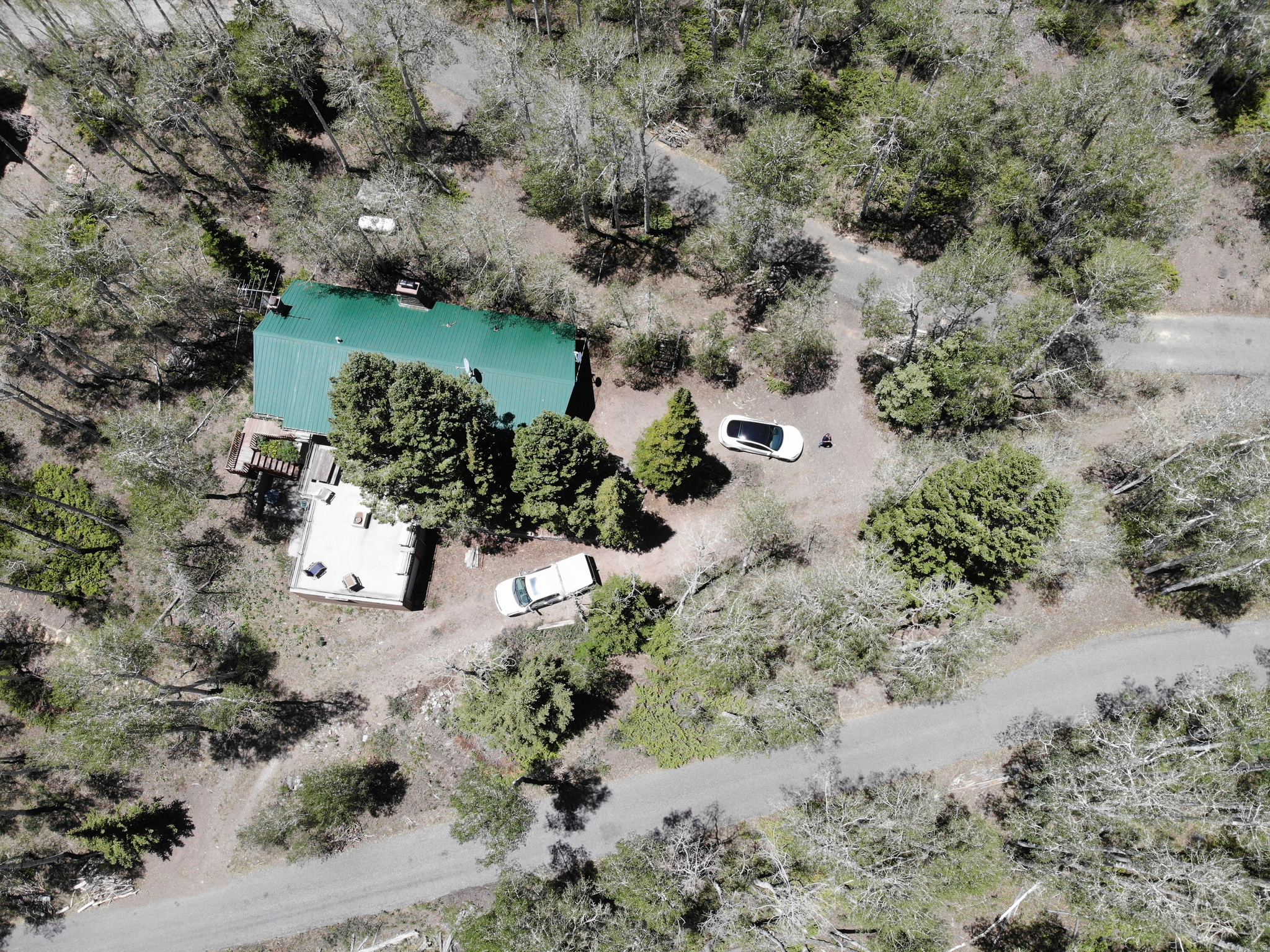 ALL OF LOT 69 ASPEN HEART SUMMER HOME SURVEY FISH - Residential