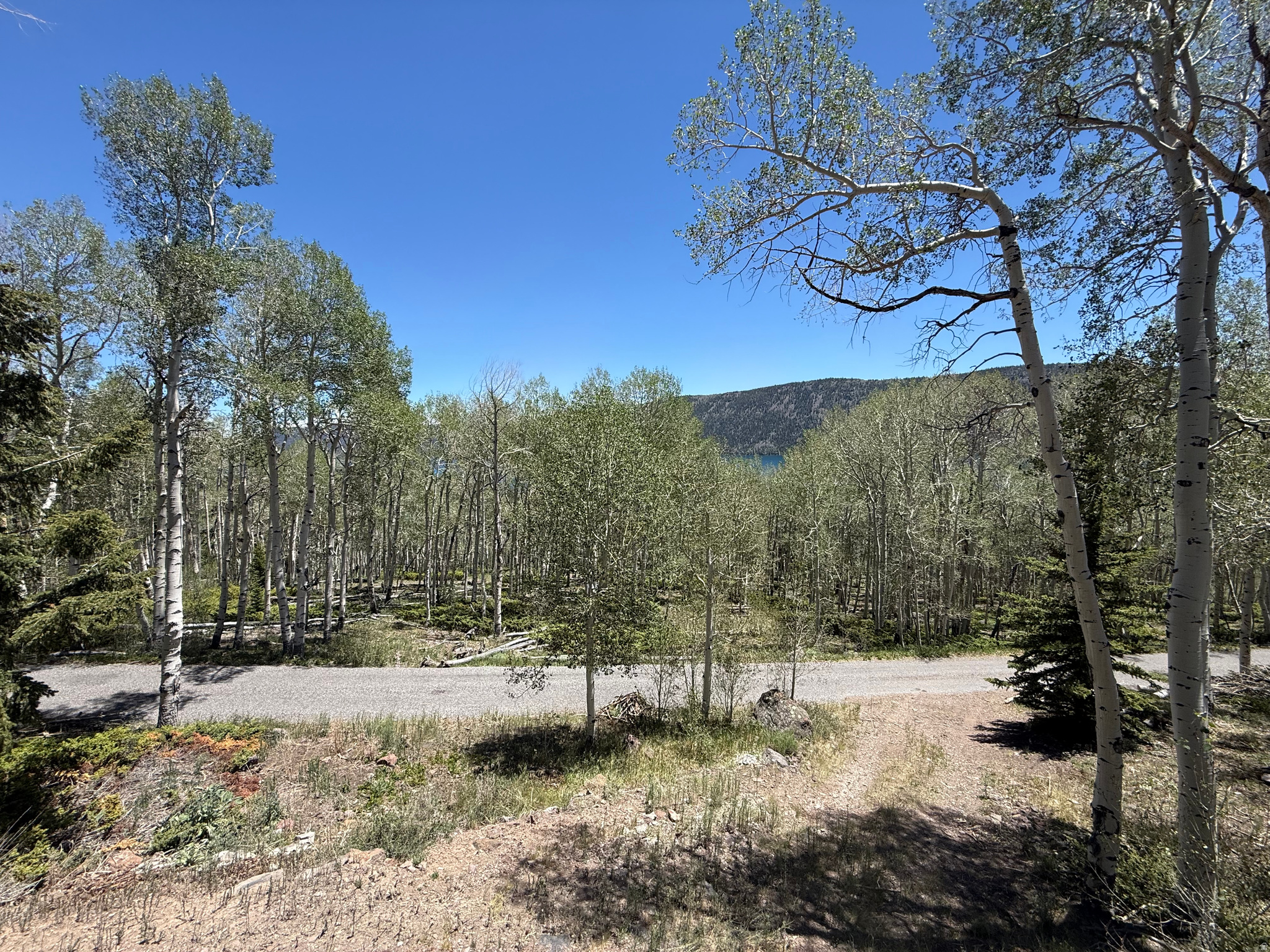 ALL OF LOT 69 ASPEN HEART SUMMER HOME SURVEY FISH - Residential