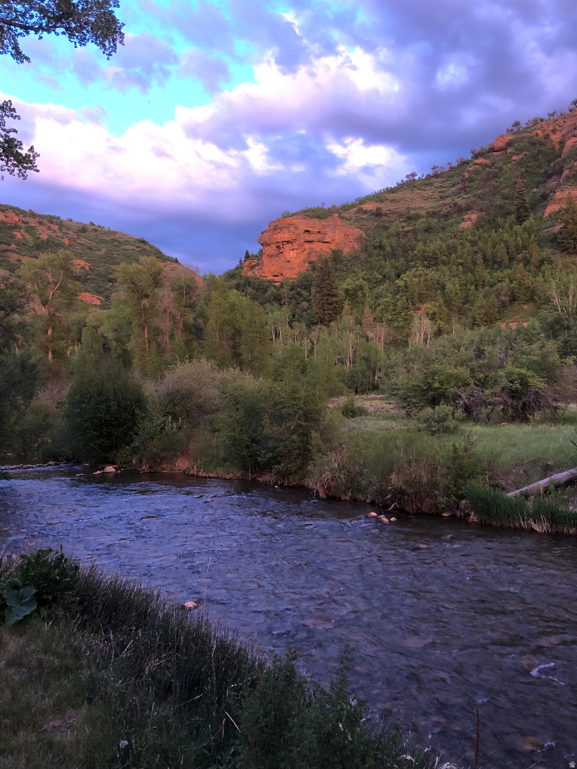 Turnkey South Fork River cabin on .52 acres with 150' of river frontage! Refreshed 550 sq ft historic railroad cabin featuring red rock views, large riverside deck, bunkhouse, storage shed, private well, and room for campers. Easy access to Causey & Pineview!