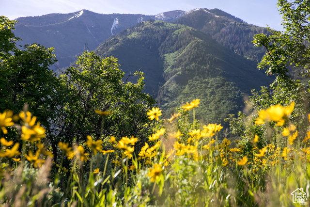 SUMMIT CREEK - Land