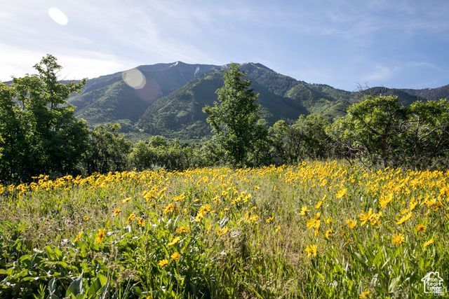 SUMMIT CREEK - Land
