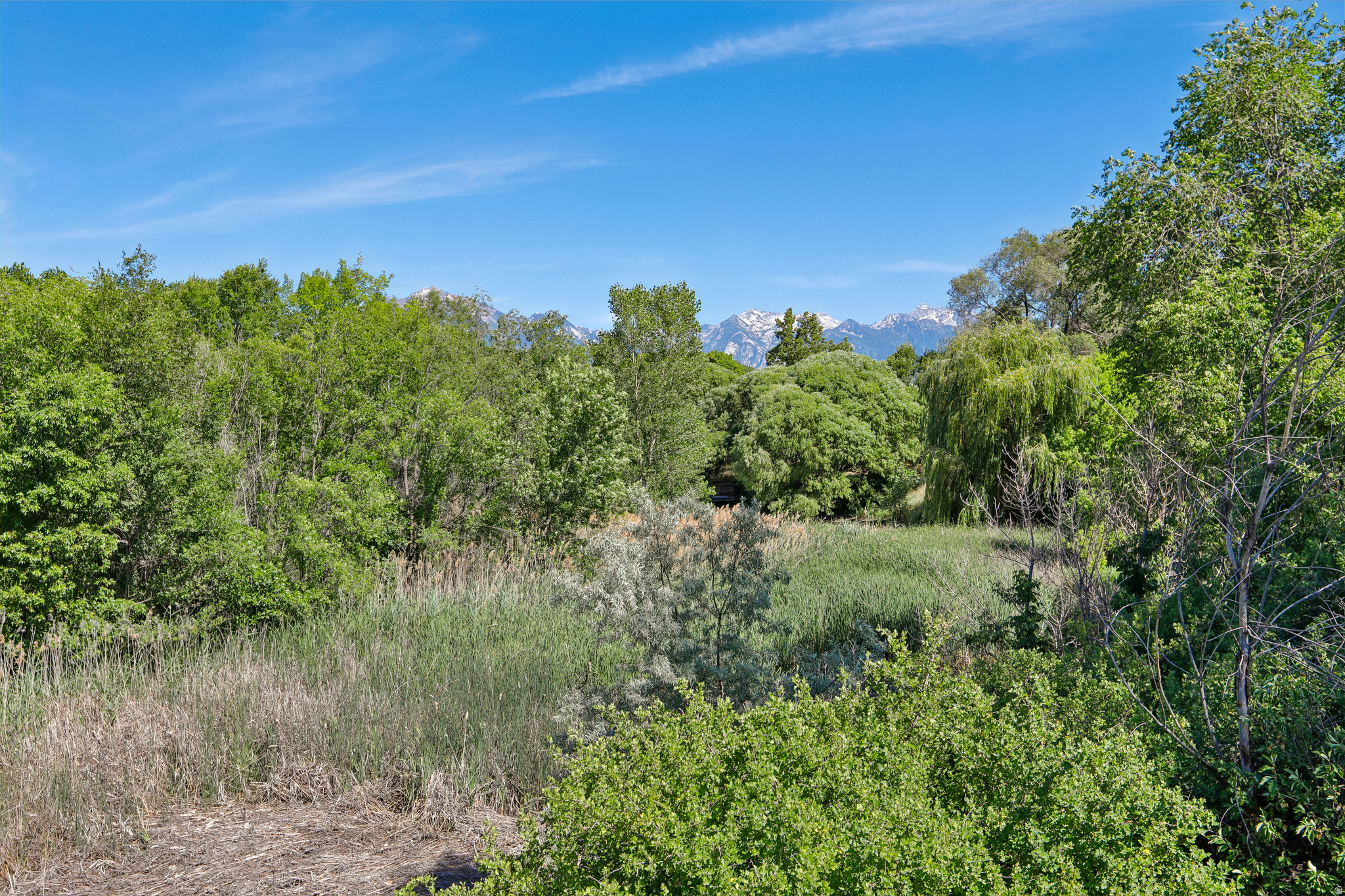 CLOVER CREST - Residential
