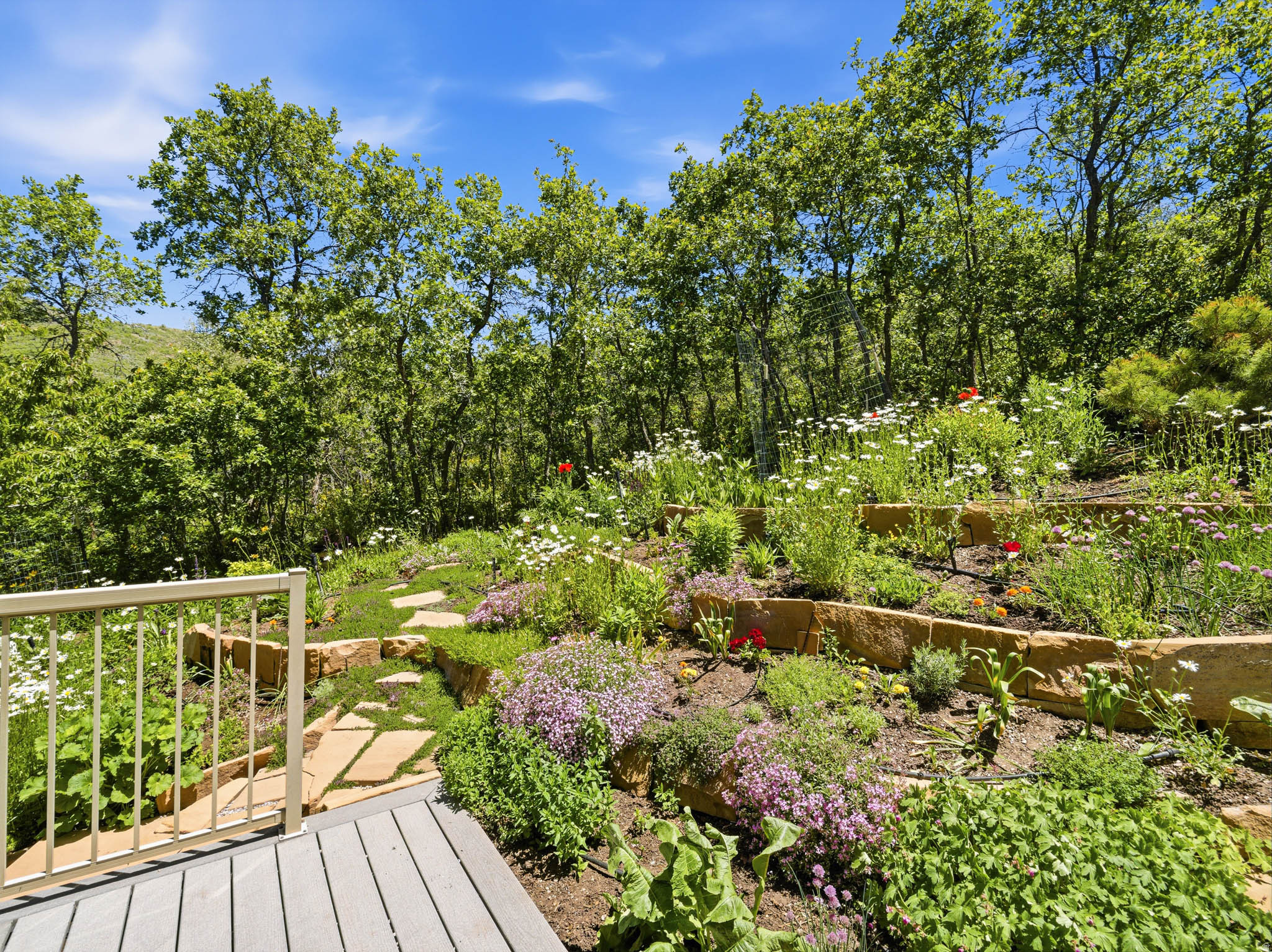 EMIGRATION OAKS - Residential
