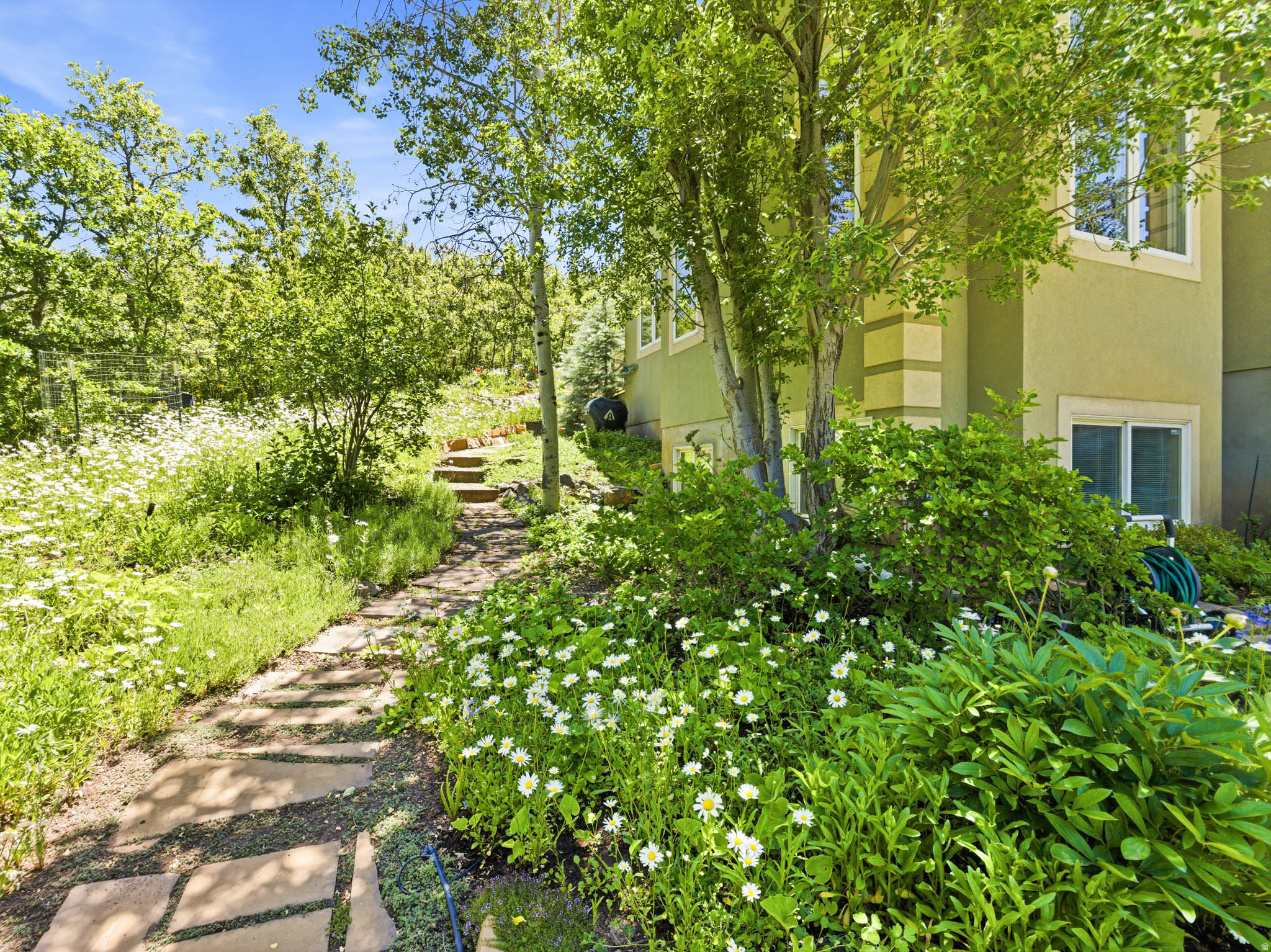 EMIGRATION OAKS - Residential