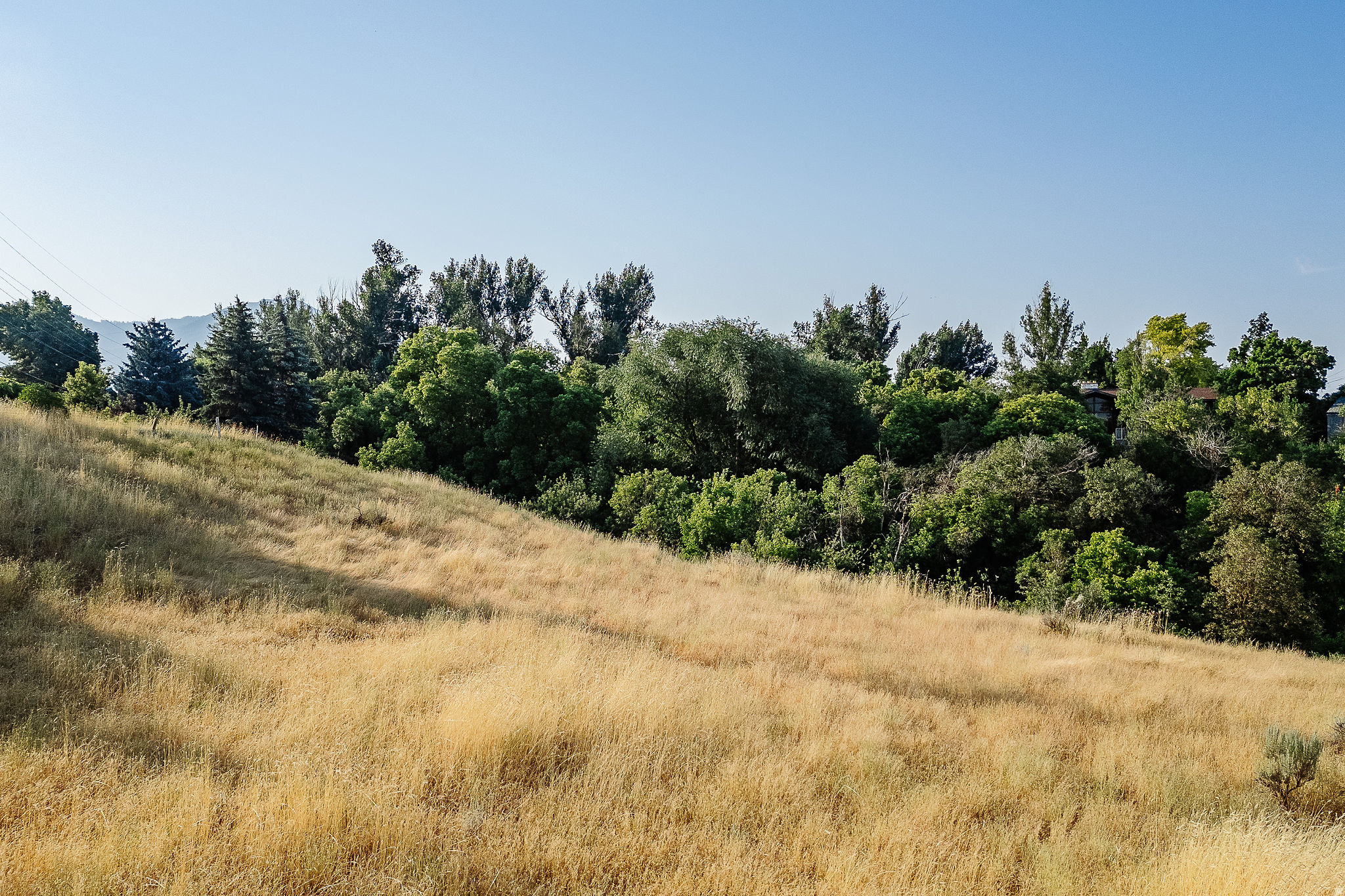 RIDGECREST SUBD - Land