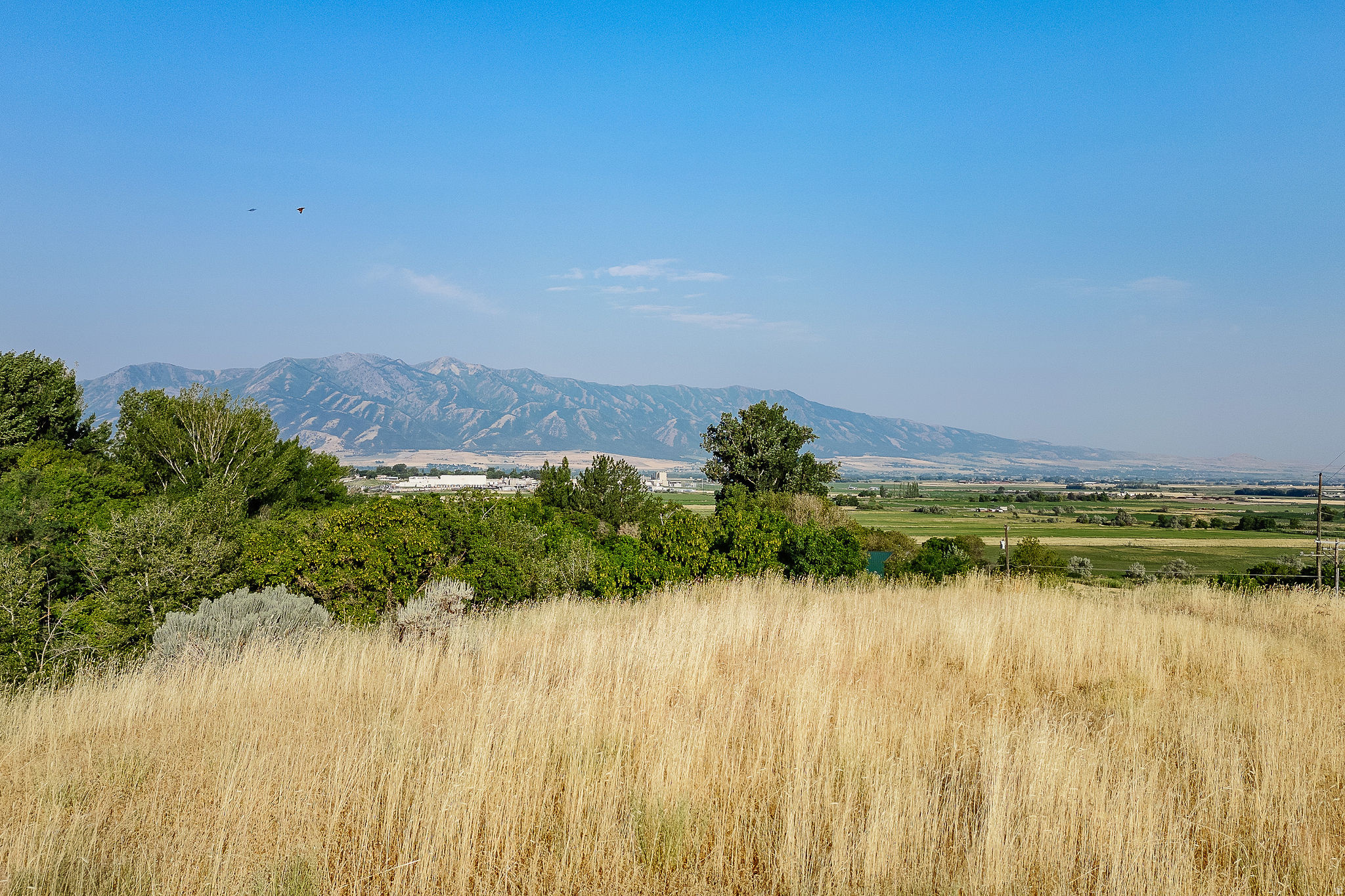 RIDGECREST SUBD - Land