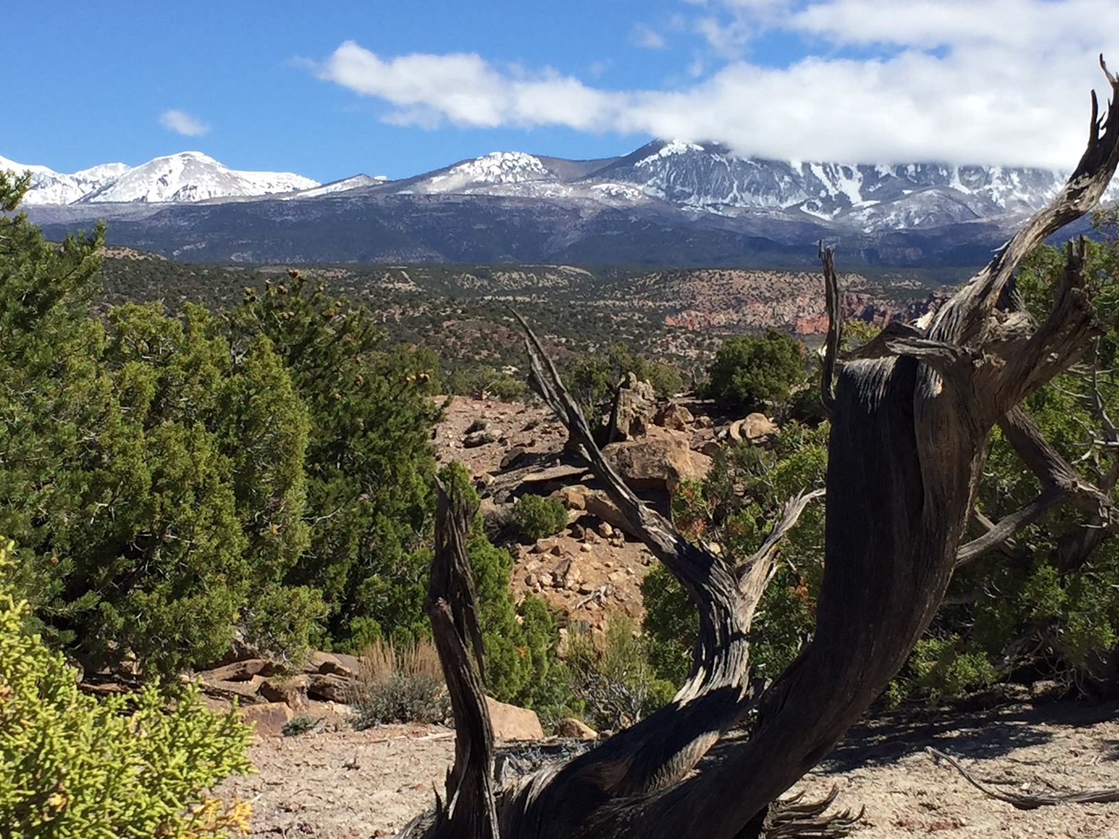 Beautiful residential/recreational property just 18 minutes from Moab, that offers fabulous desert and mountain views.  This lot, located just off Pole Canyon Road, offers striking views of the La Sal Mountains, the red fins of Behind the Rocks, Pole Canyon, and Kane Creek Canyon.  Power is conveniently located on the lot frontage.  New owner will install well and septic.  County maintained roads throughout the subdivision.  There are no HOA dues.  Sensible covenants are in place for the protection of property values.  Owner financing is available.  Listing agent has partial ownership interest in lot.