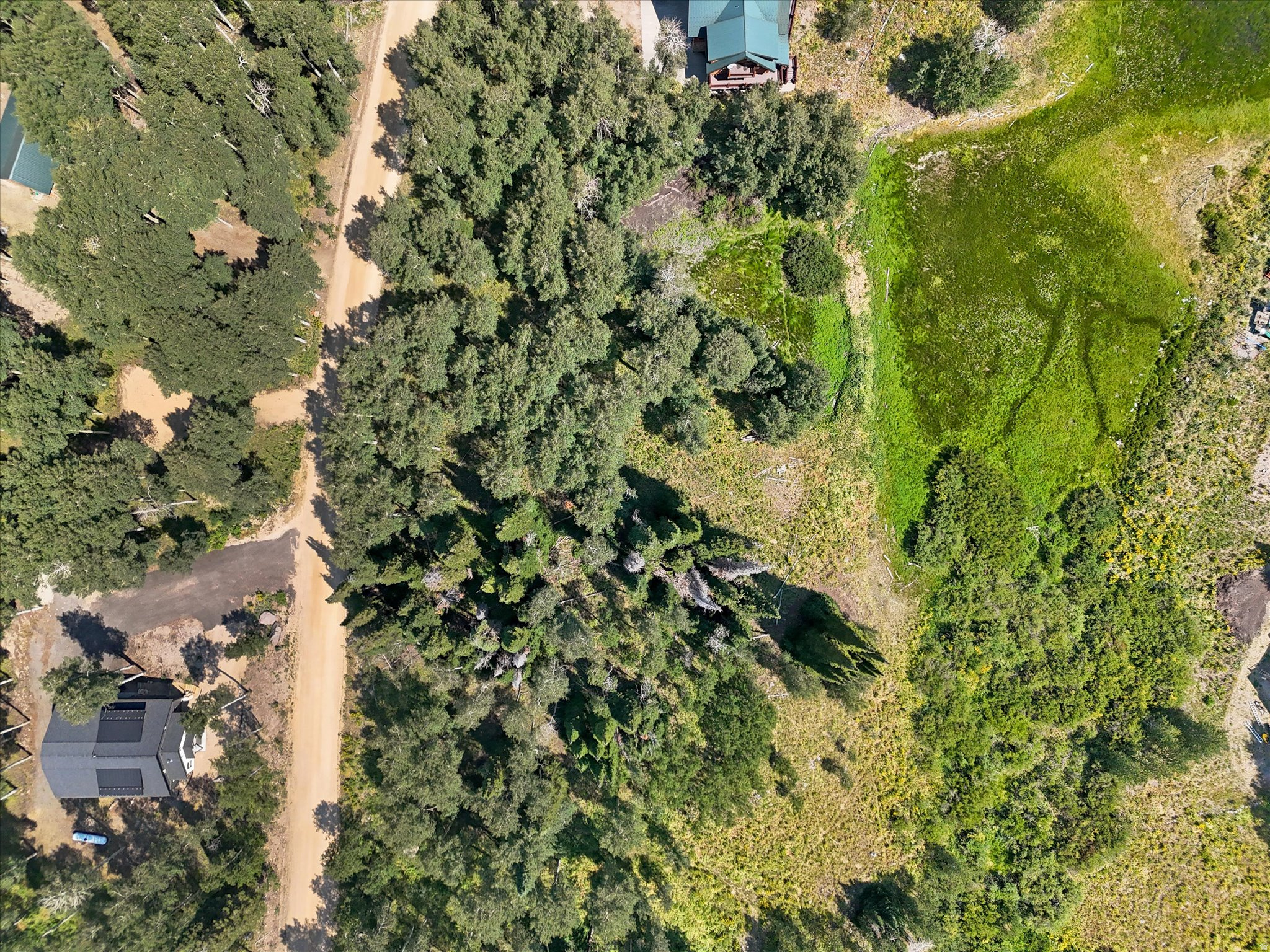 TIMBER LAKES PLAT 20 - Land