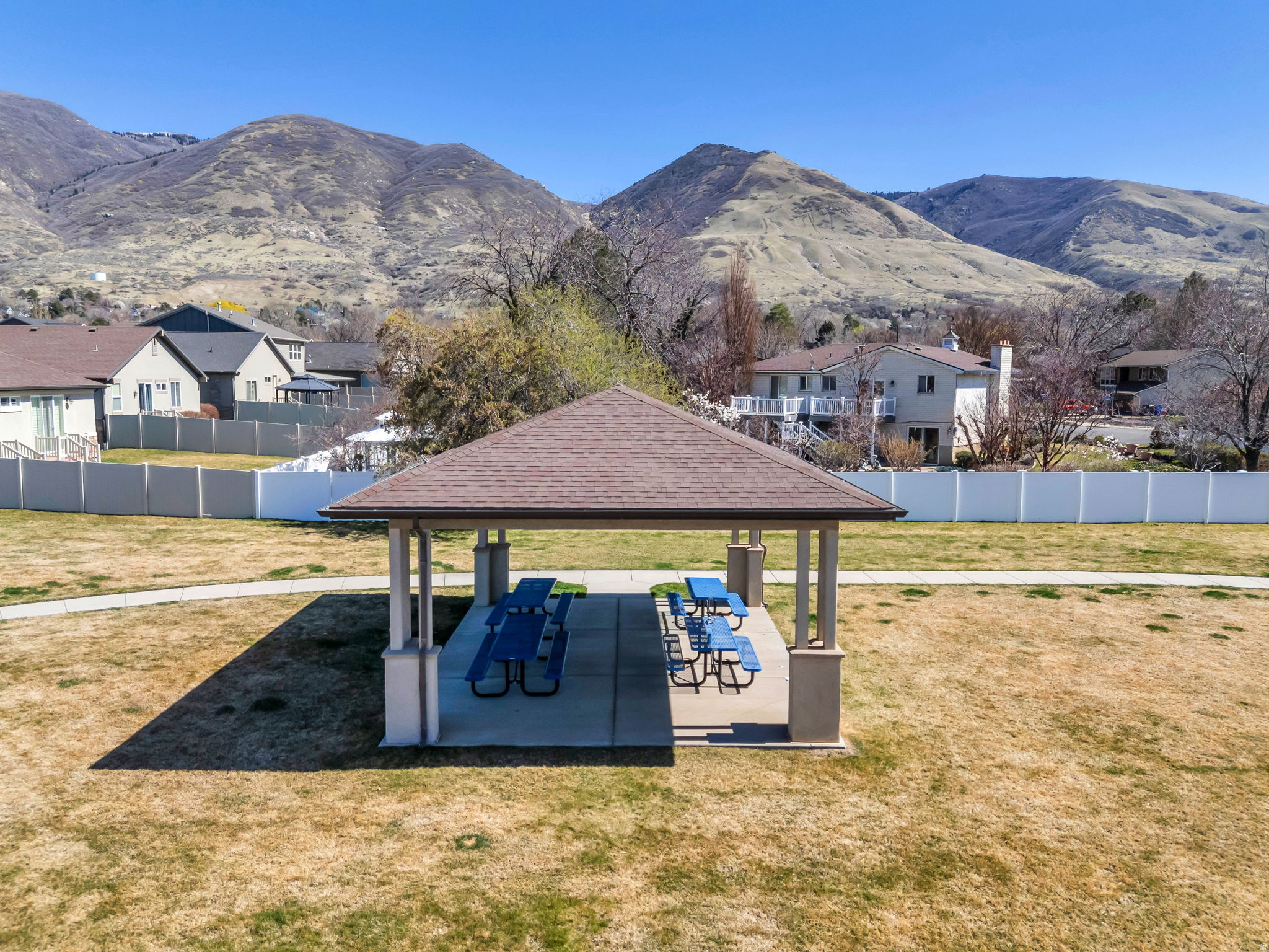 PINEAE VILLAGE PLAT - Residential