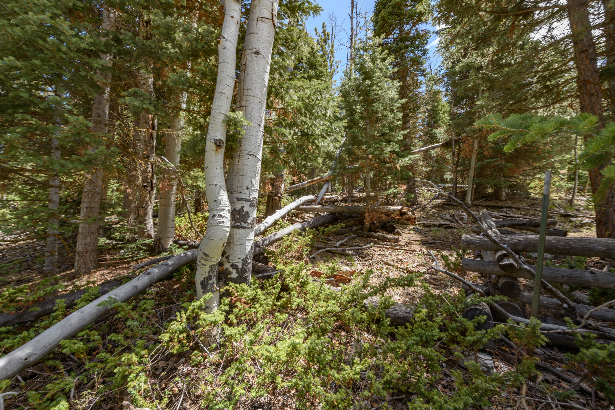 CLEAR CREEK ESTATES - Land