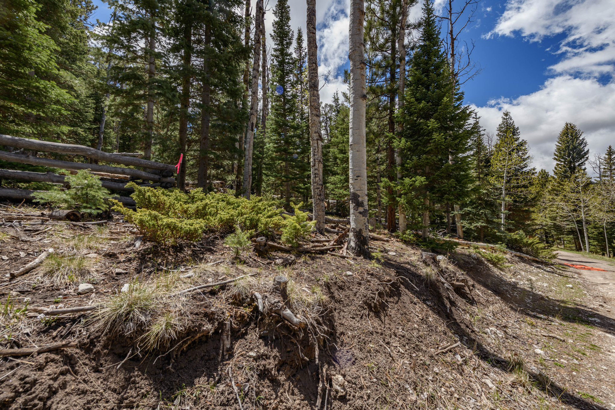 CLEAR CREEK ESTATES - Land