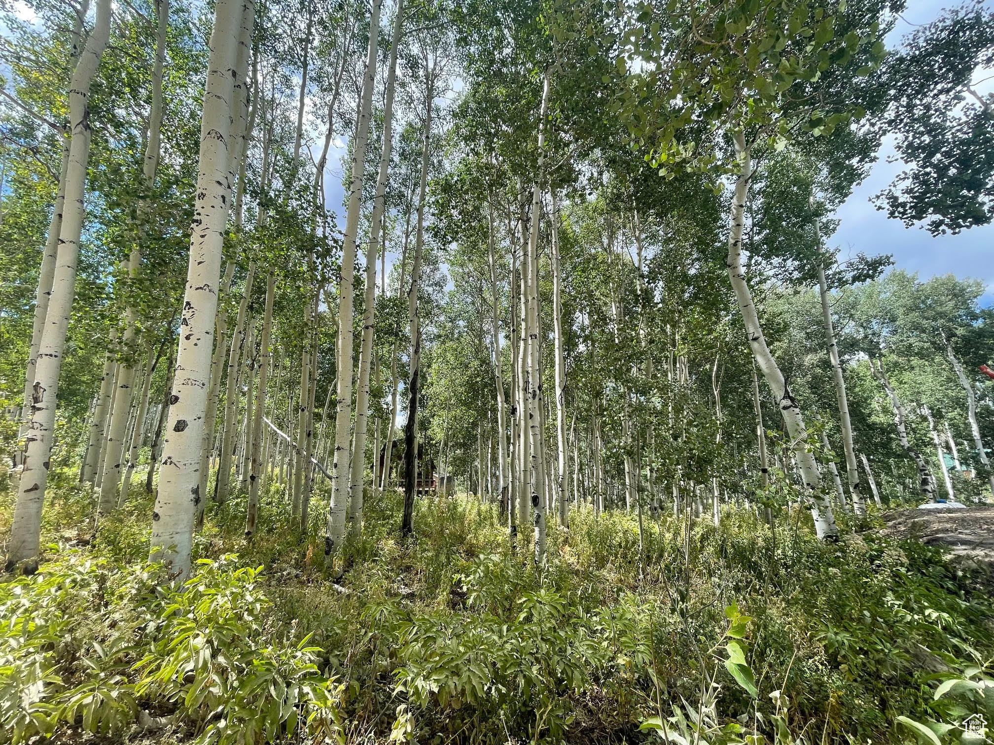 TIMBER LAKES - Land