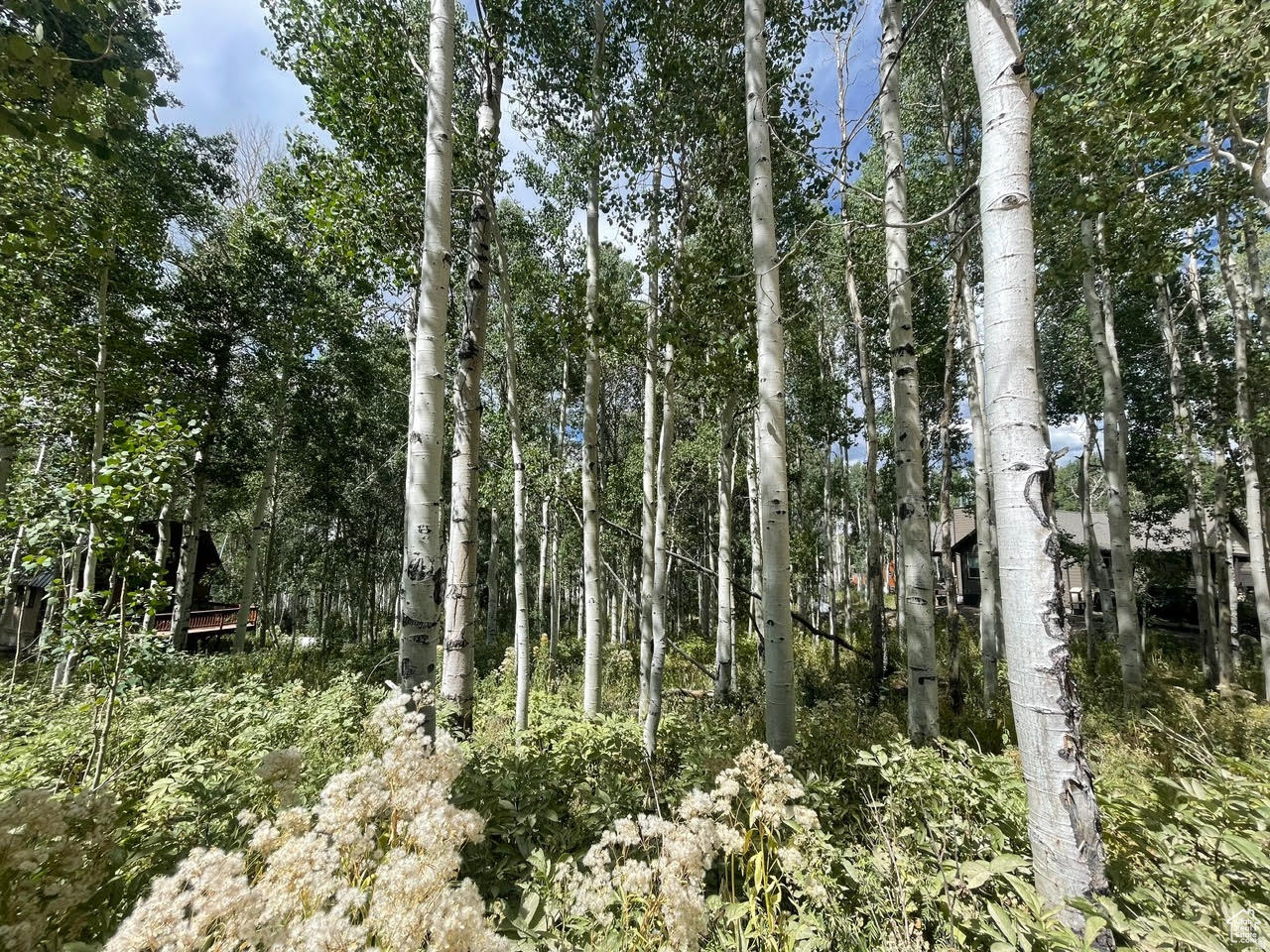 TIMBER LAKES - Land