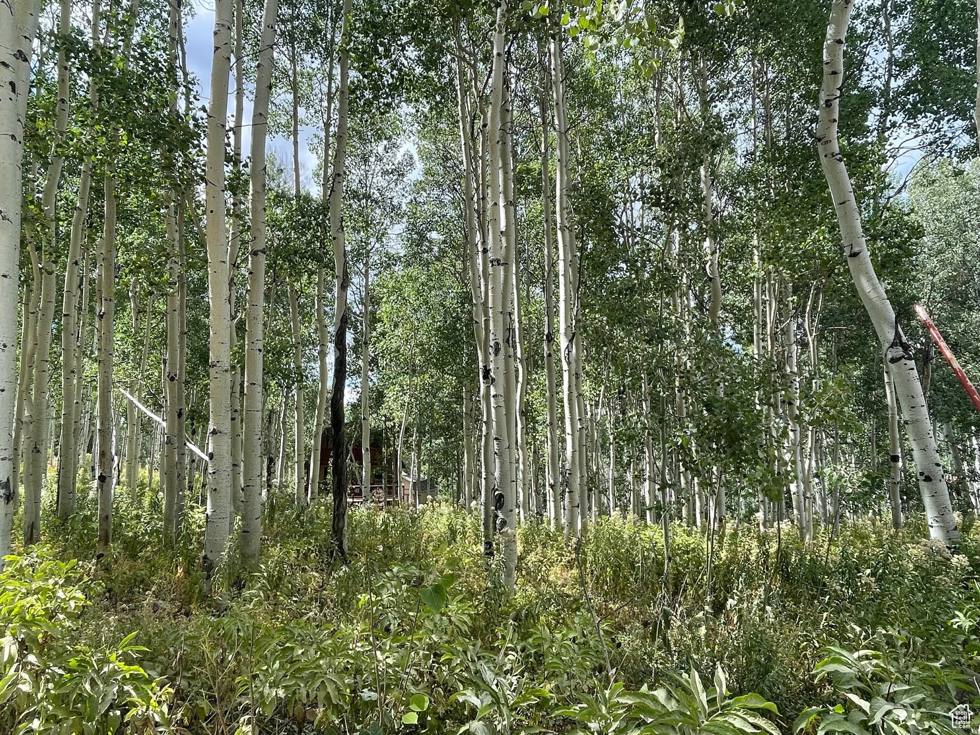 TIMBER LAKES - Land