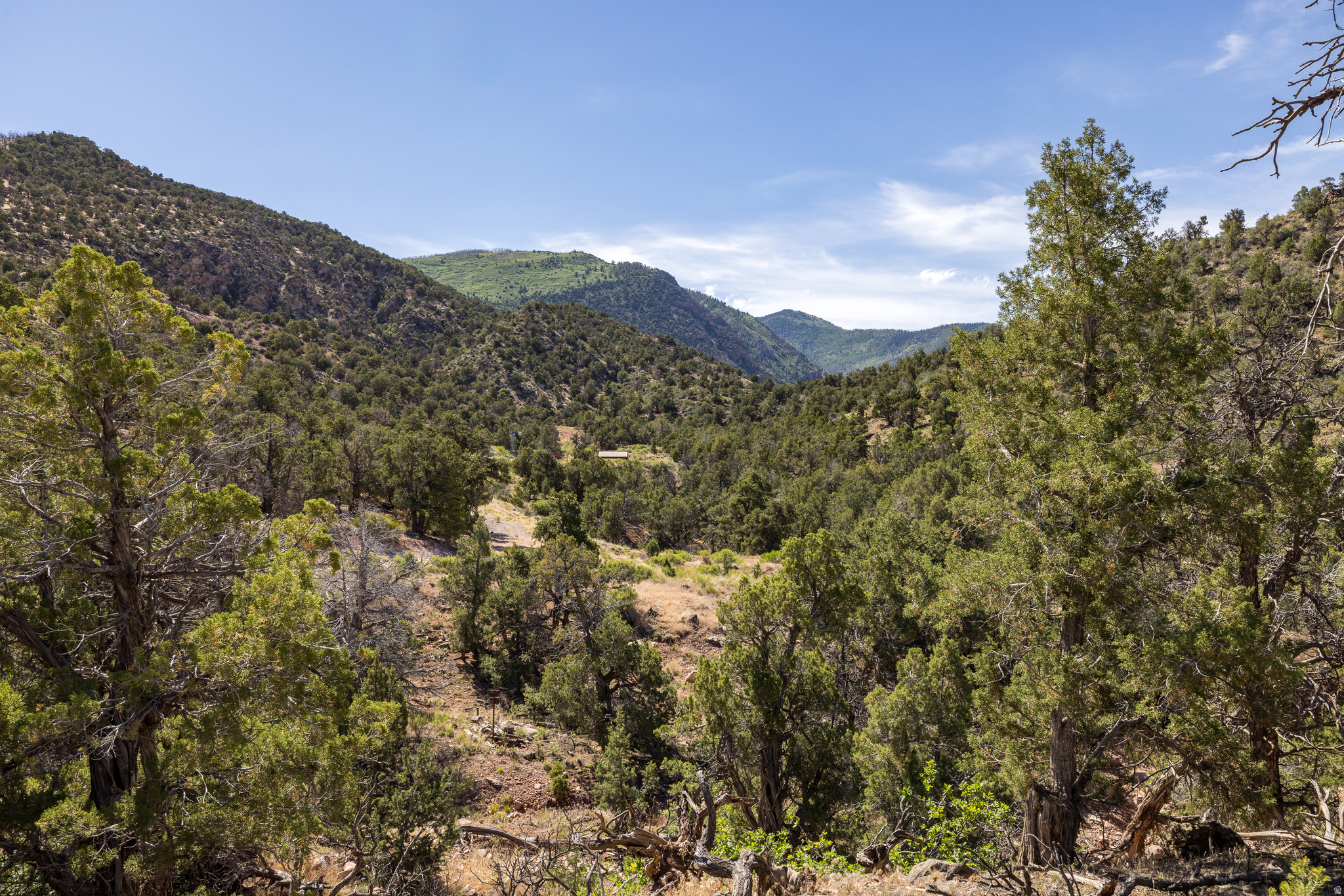 Surrounded by the quiet beauty of Upper Pack Creek, this 4-acre parcel offers privacy, space, and a true sense of escape. Enjoy peaceful surroundings, abundant wildlife, and dark night skies while being just a scenic drive from Moab and its endless recreational opportunities.