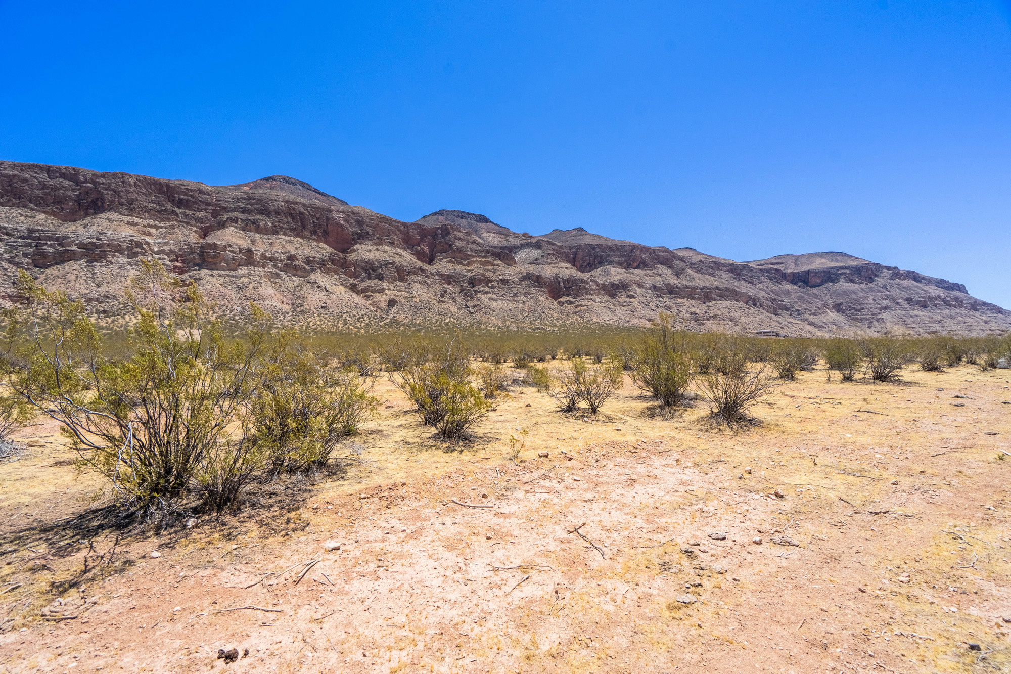 MOCCASIN FLATS - Land