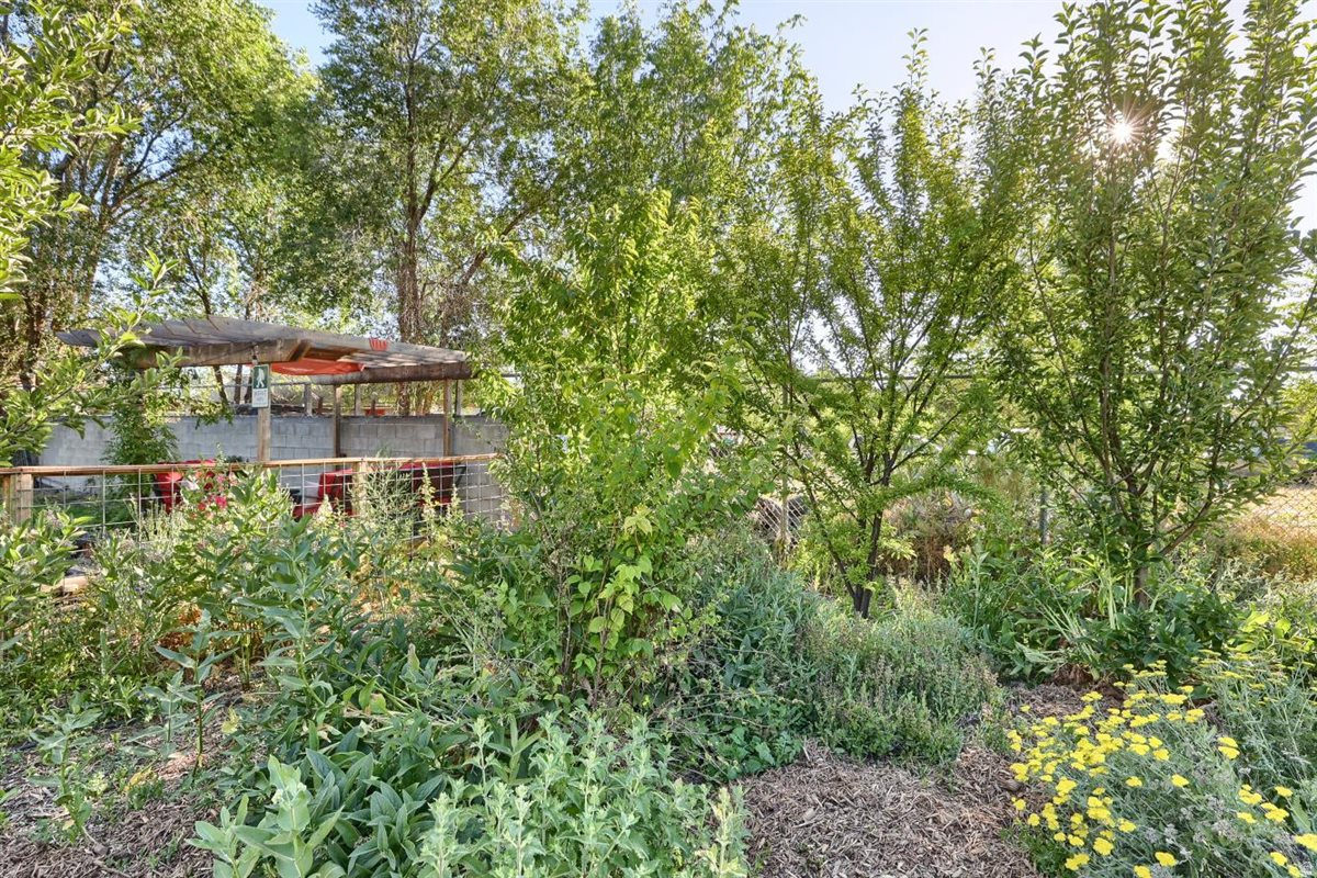 ANDERSON - Residential