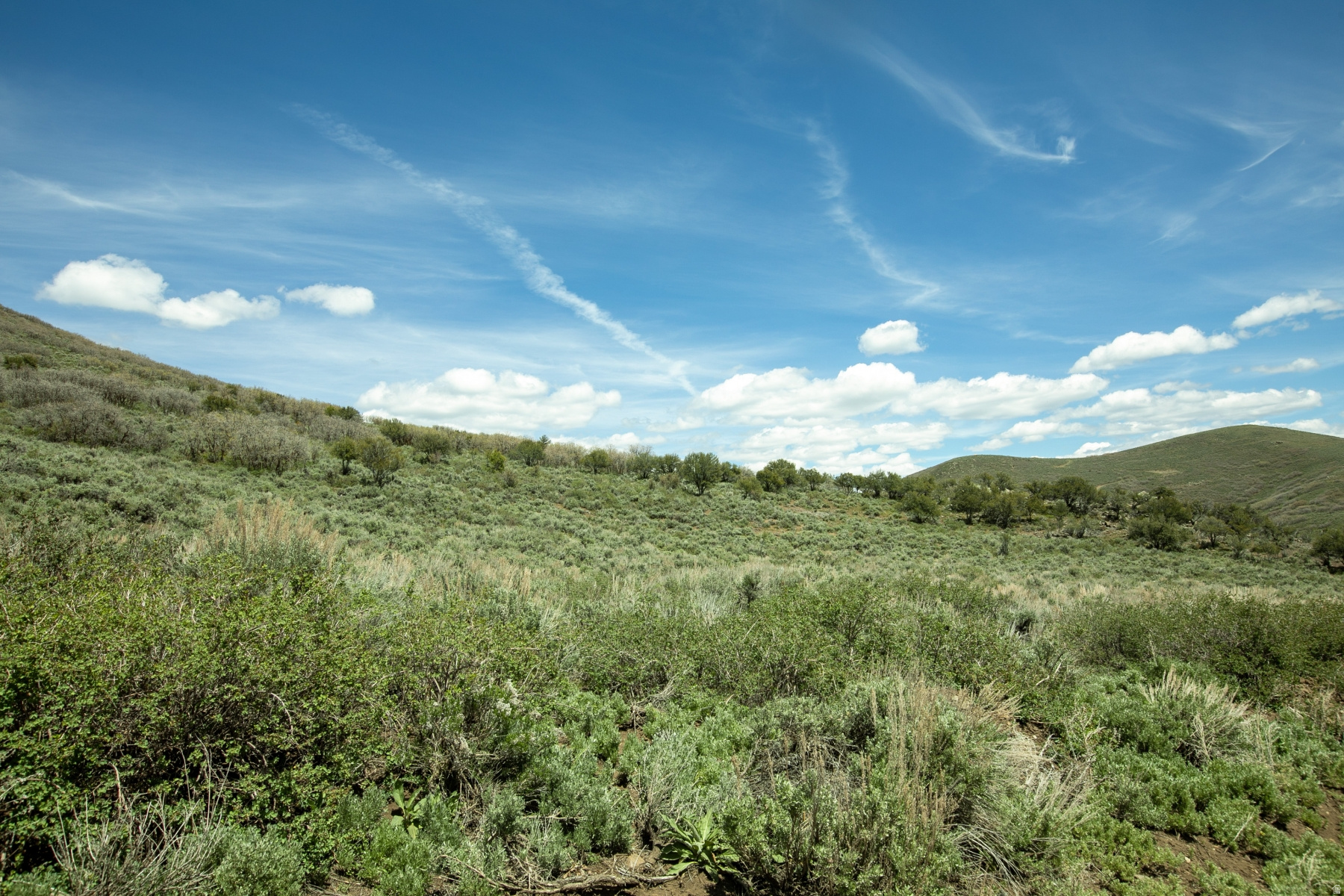 GARFF RANCHES - Land