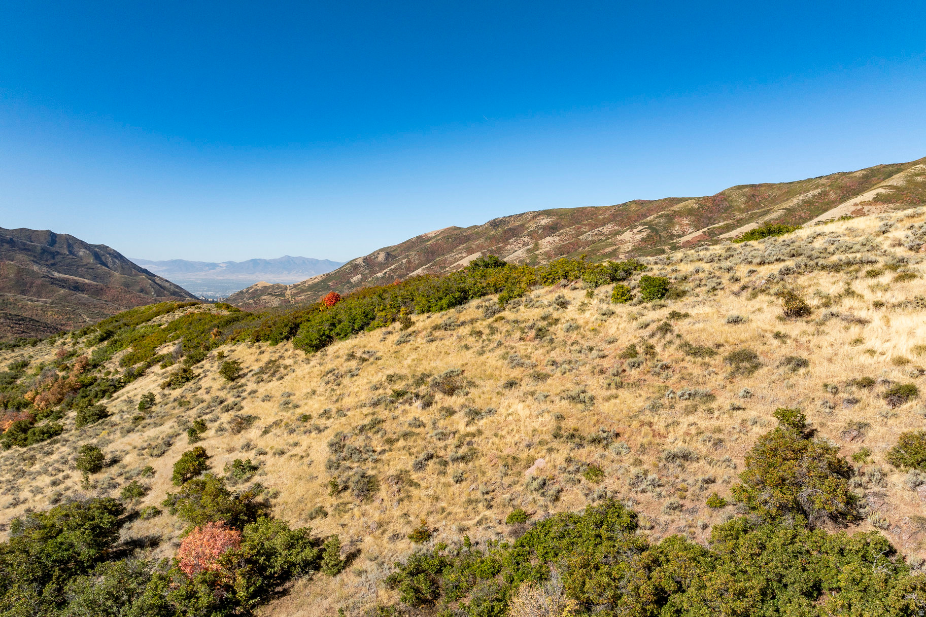 EMIGRATION OAKS - Land