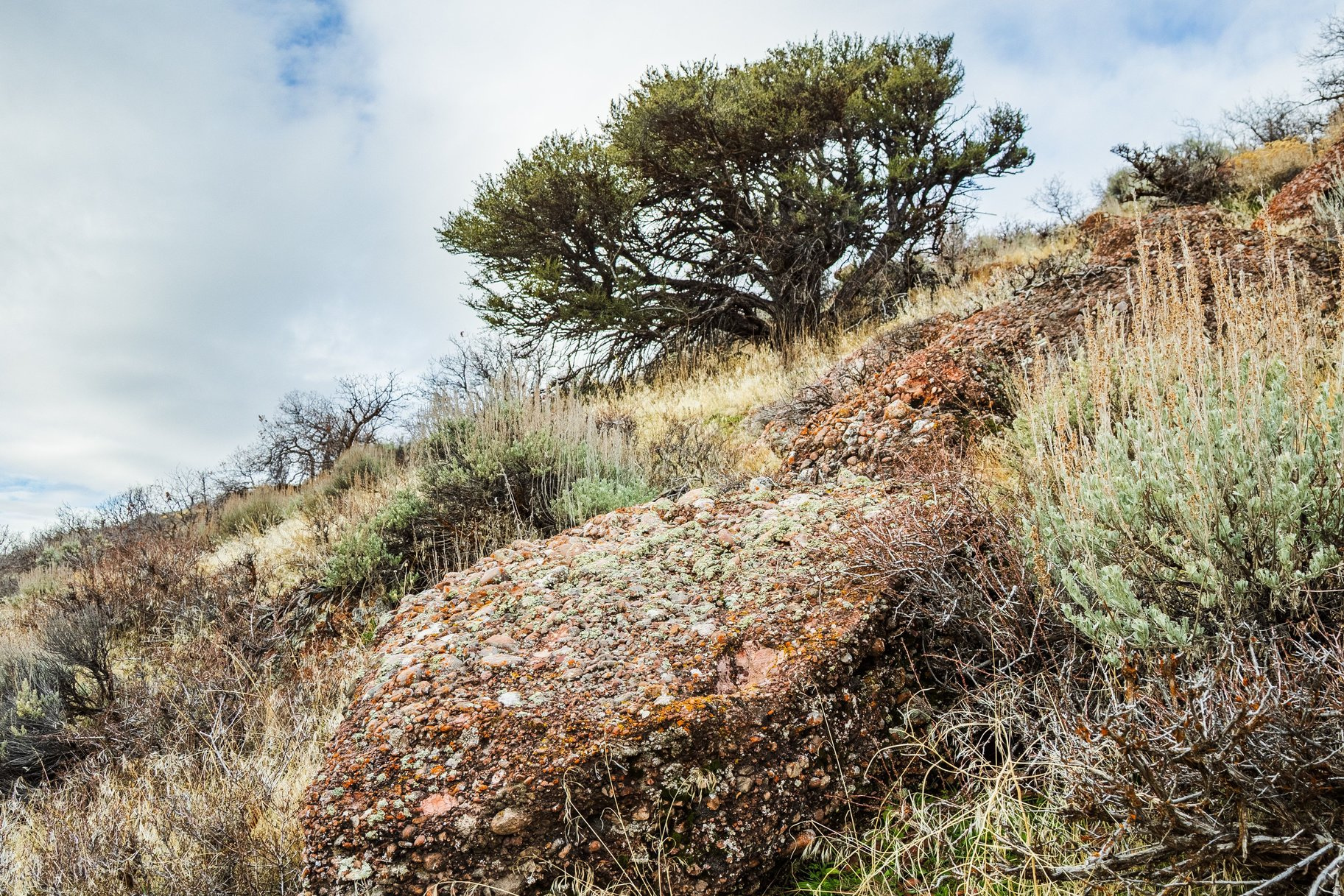 EMIGRATION OAKS - Land