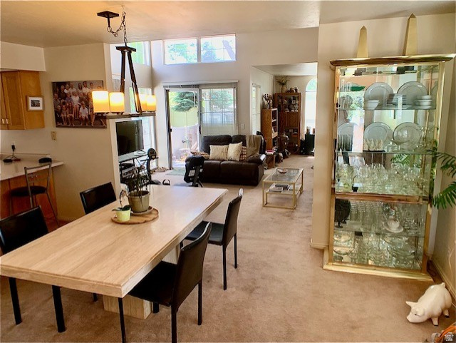 PLUM TREE COURT - Residential