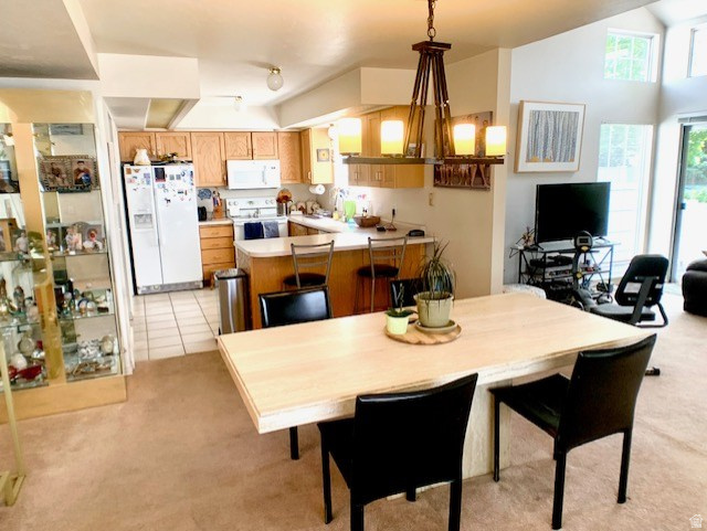 PLUM TREE COURT - Residential