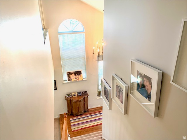 PLUM TREE COURT - Residential