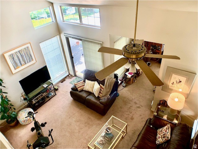 PLUM TREE COURT - Residential