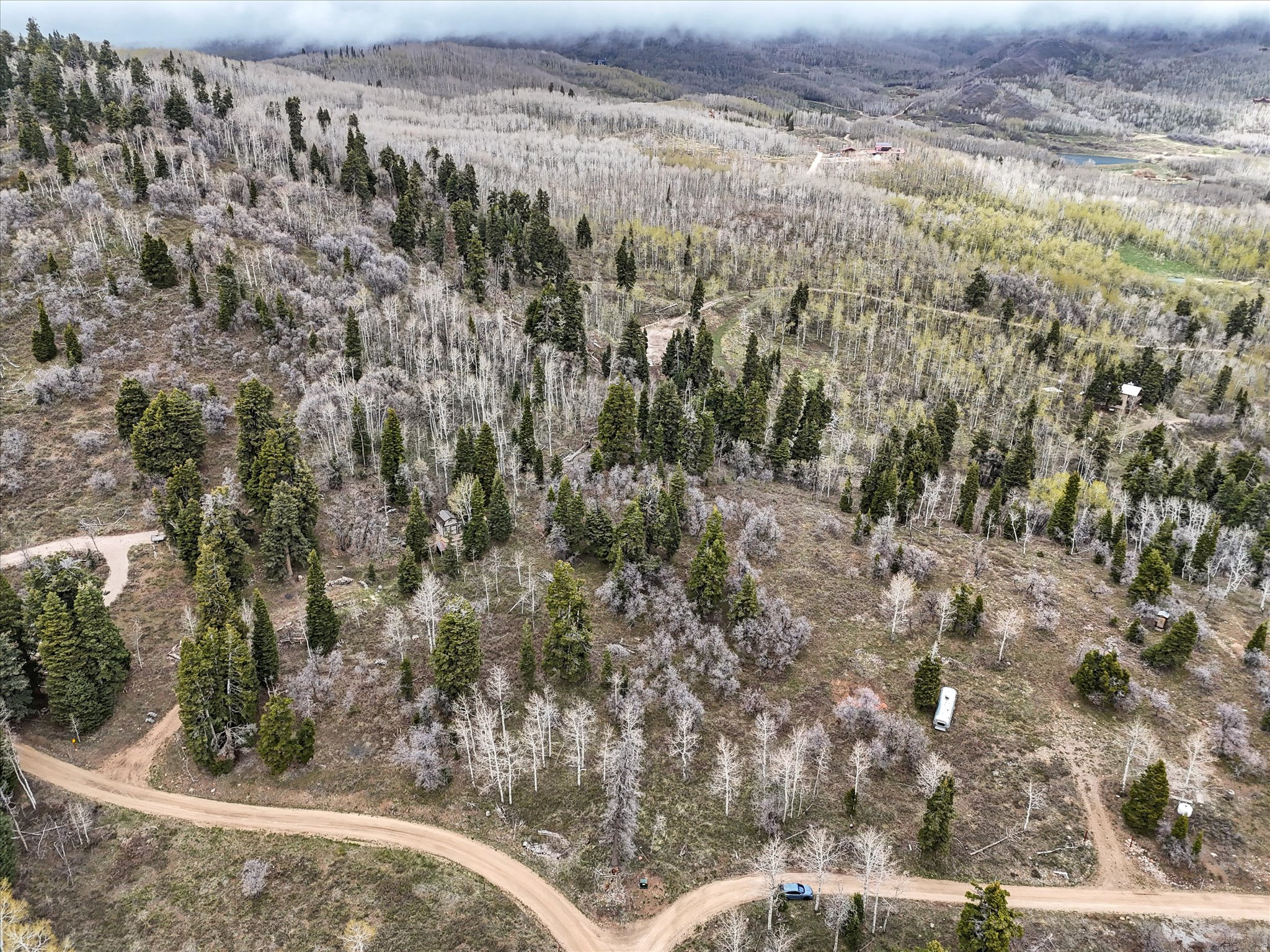 PINE MEADOWS - Land