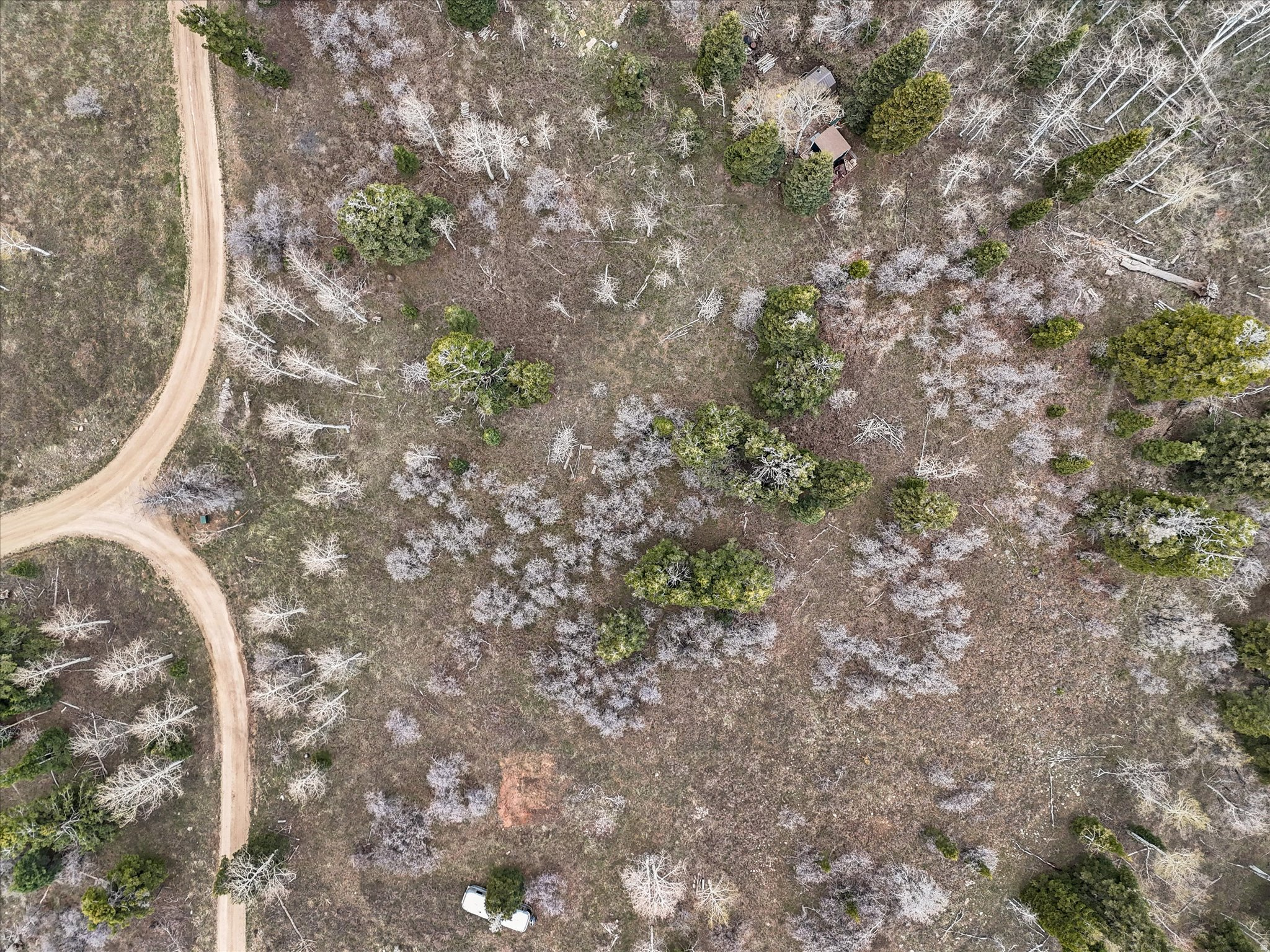 PINE MEADOWS - Land