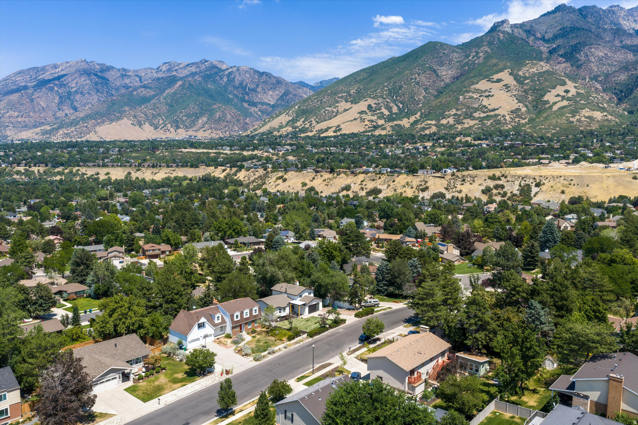 WILLOW WICK ESTATES - Residential