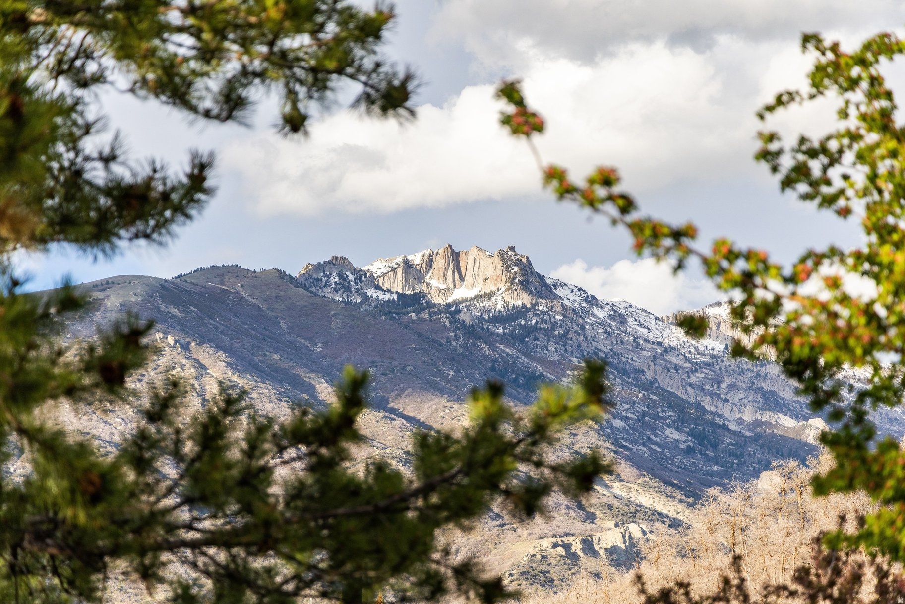 EAGLE CREST NO 1 AT - Residential