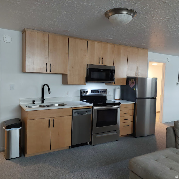 BRENTWOOD PARK SUB 2 - Residential