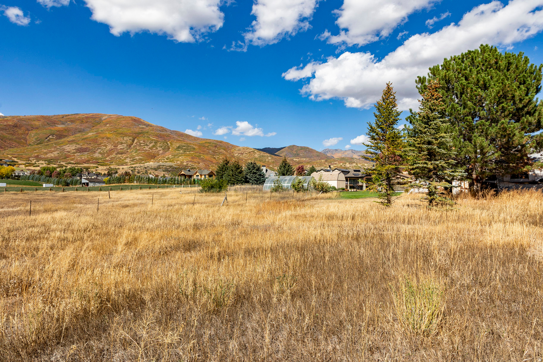 FARMS AT TATE LANE - Land