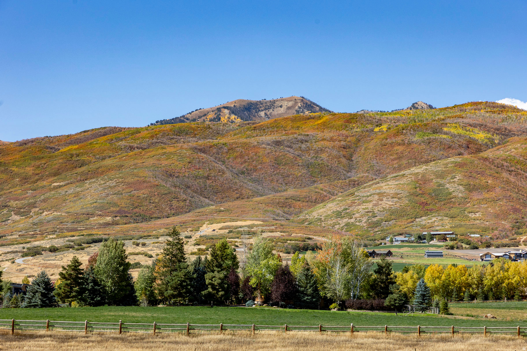 FARMS AT TATE LANE - Land