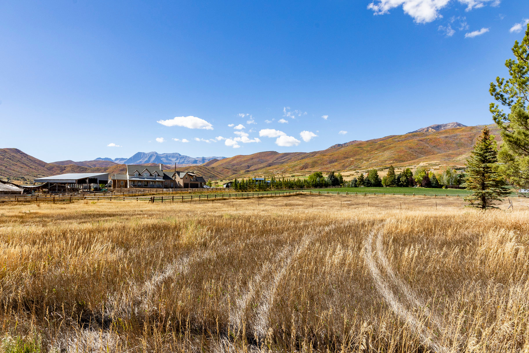 FARMS AT TATE LANE - Land