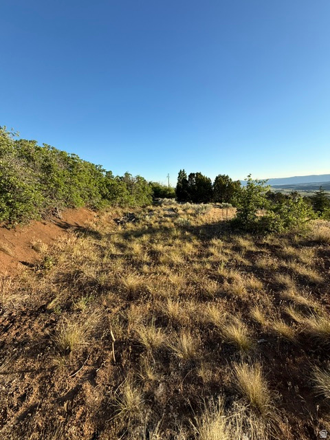 SKYLINE MOUNTAIN RESORT - Land