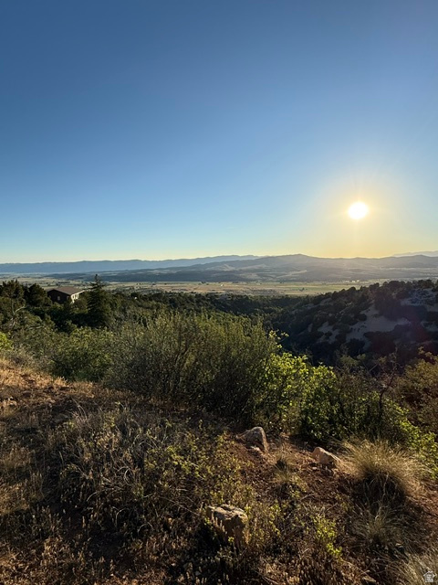 SKYLINE MOUNTAIN RESORT - Land