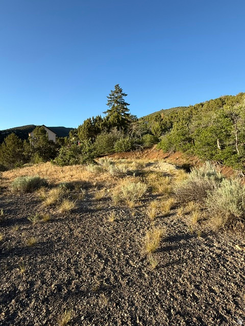 SKYLINE MOUNTAIN RESORT - Land