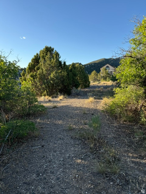 SKYLINE MOUNTAIN RESORT - Land