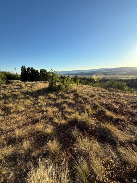SKYLINE MOUNTAIN RESORT - Land